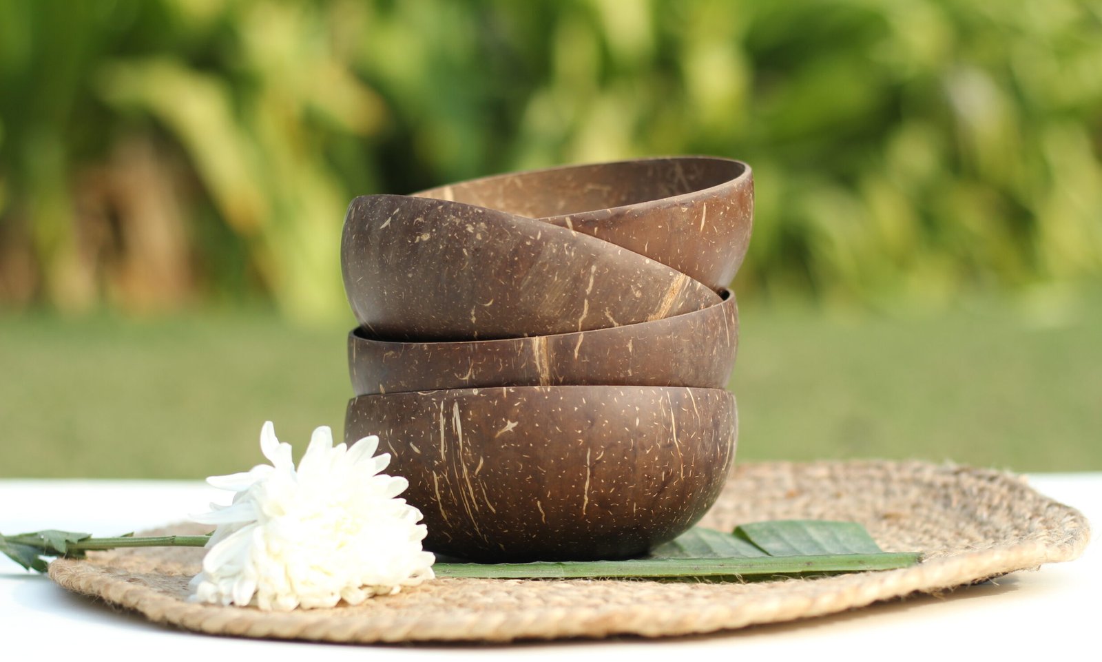Coconut Shell Salad and fruit bowl in natural brown color with unique markings